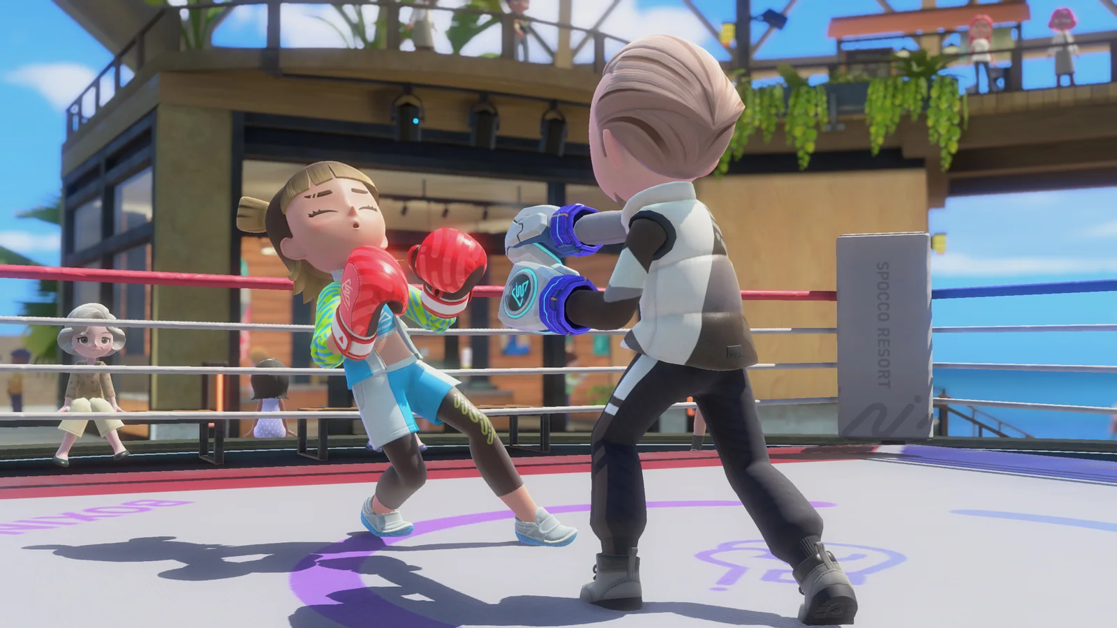Boxing Guide: Punches, Guard and Reading the Tell